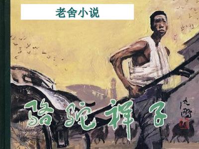 稀缺小视频在线观看